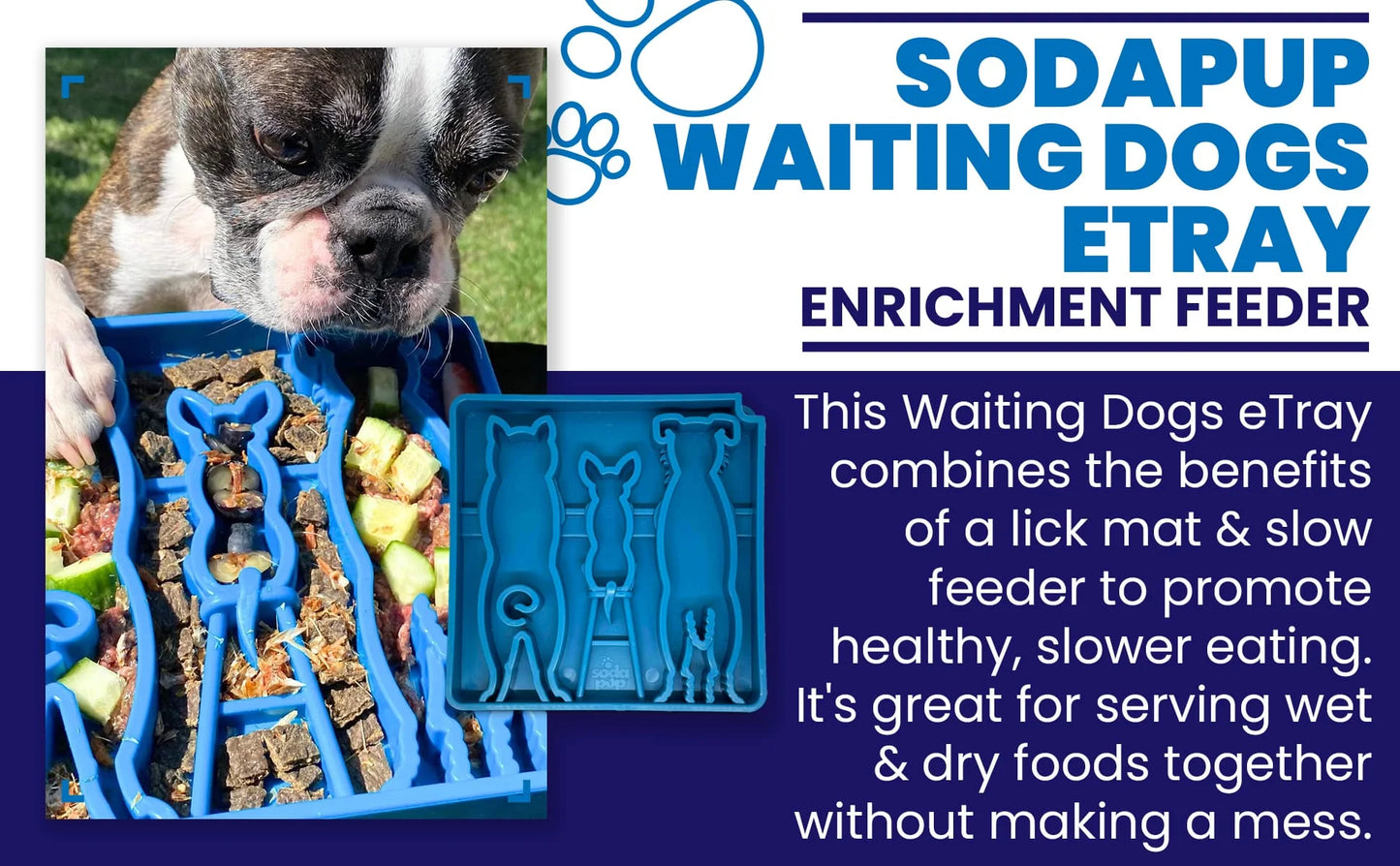 SodaPup ETray - Waiting Dogs | Blue